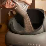 木薯砂可以沖馬桶嗎？詳解木薯砂優缺點比較、凝結原理與香港家居選購指南